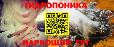 прущие крисы Можга